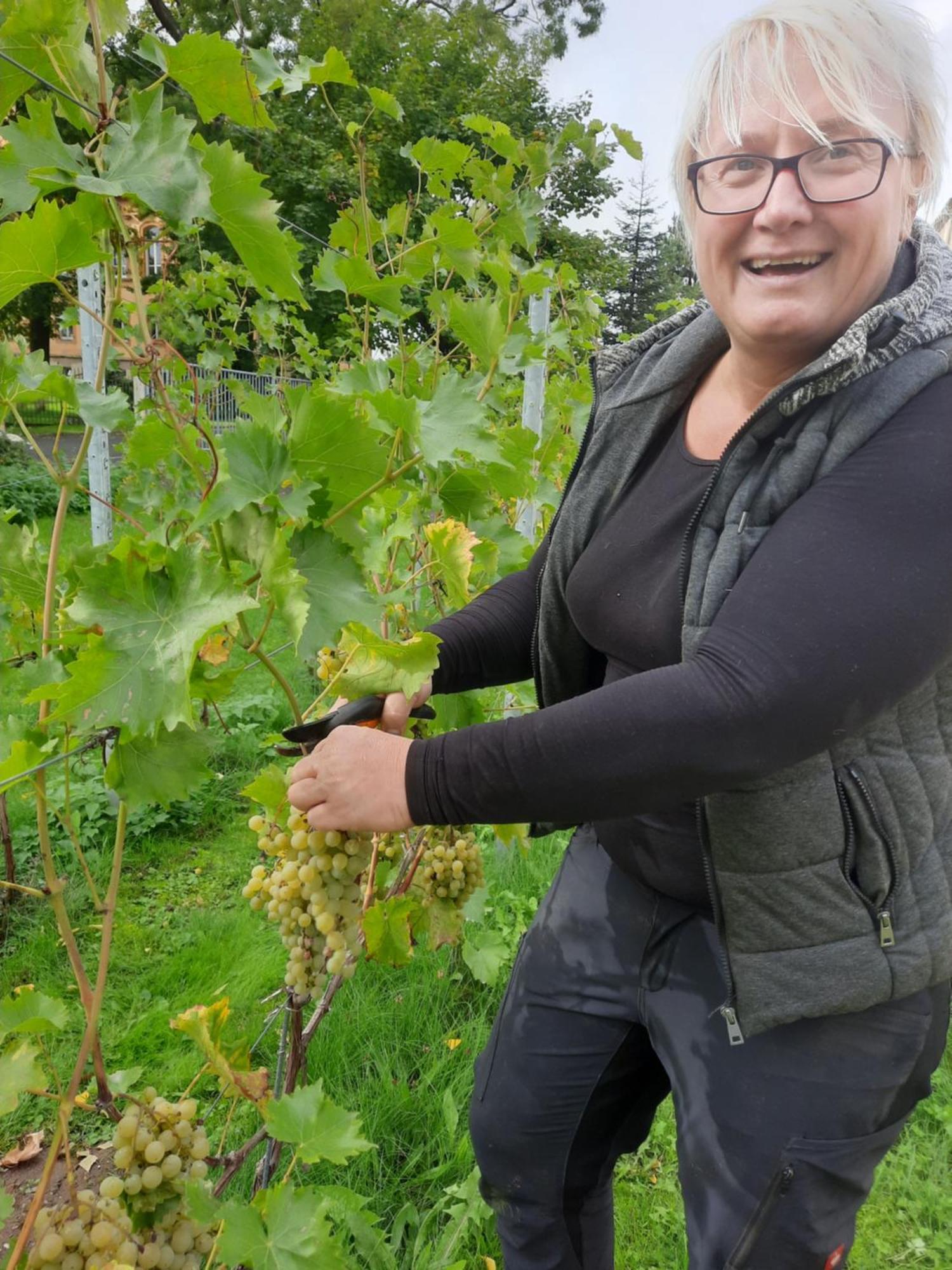 Ferienwohnung Weingut Lahmer August Kretzschau エクステリア 写真
