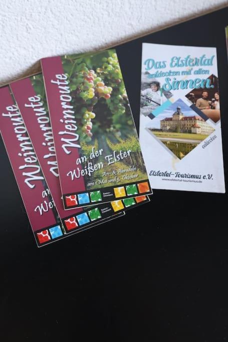 Ferienwohnung Weingut Lahmer August Kretzschau エクステリア 写真